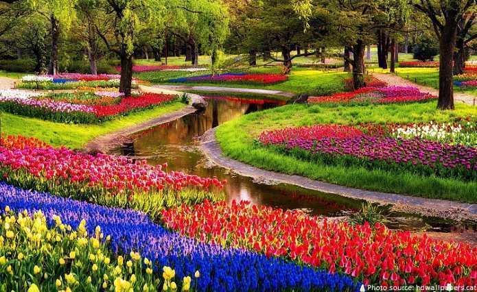 keukenhof-2-drtmedia