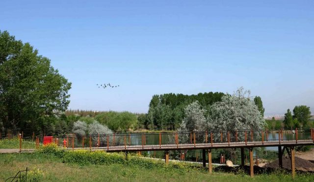 Peyzaj Tasarımında Gün Işığının Doğru Kullanımı