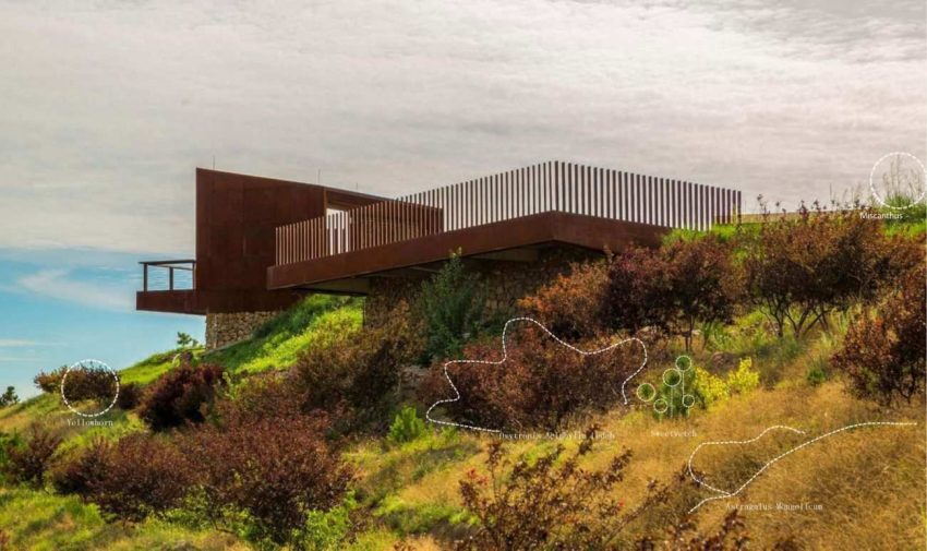 Çölleşmeye Karşı Bir Mücadele Hikayesi: Yellowhorn Farm Park 31 collesme-ile-mucadele