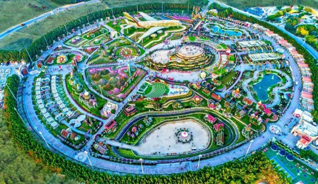Dubai Miracle Garden: Dünyanın En Büyük Çiçek Bahçesi
