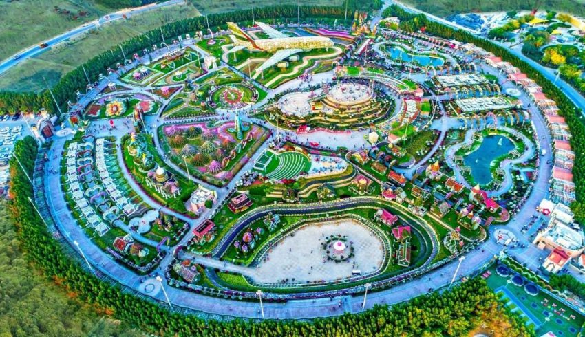 Dubai Miracle Garden: Dünyanın En Büyük Çiçek Bahçesi 46 dubai-miracle-garden-mucize-bahcesi