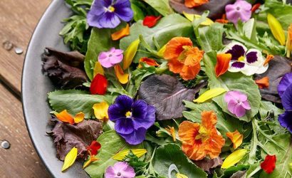 kapak edible flowers