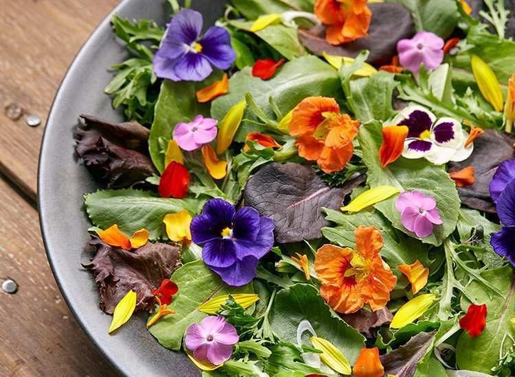 Dekoratif Çiçeklere Farklı Bir Bakış: Yenilebilir Çiçekler 17 kapak edible flowers