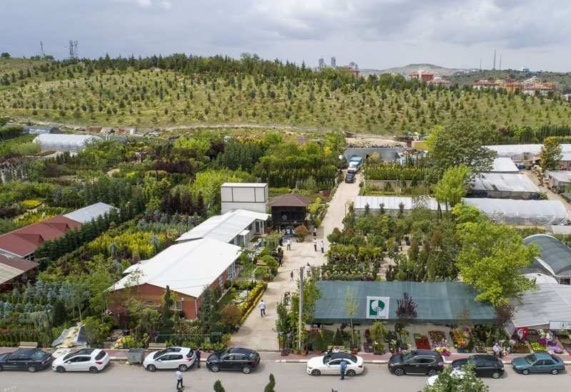 Bir Peyzaj Mimarı'nın Staj Deneyimi 37 ankara-fidanlik-01