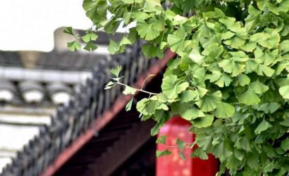 akira-75LI4lQtt7Y-unsplash