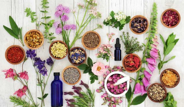 bigstock-Natural-herbal-medicine-select-227008441-1