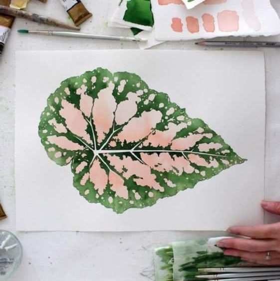 Science + Art = Scientific Plant Painting 89 kapak fotosu