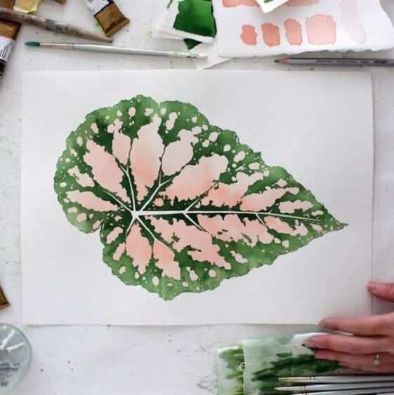 Science + Art = Scientific Plant Painting
