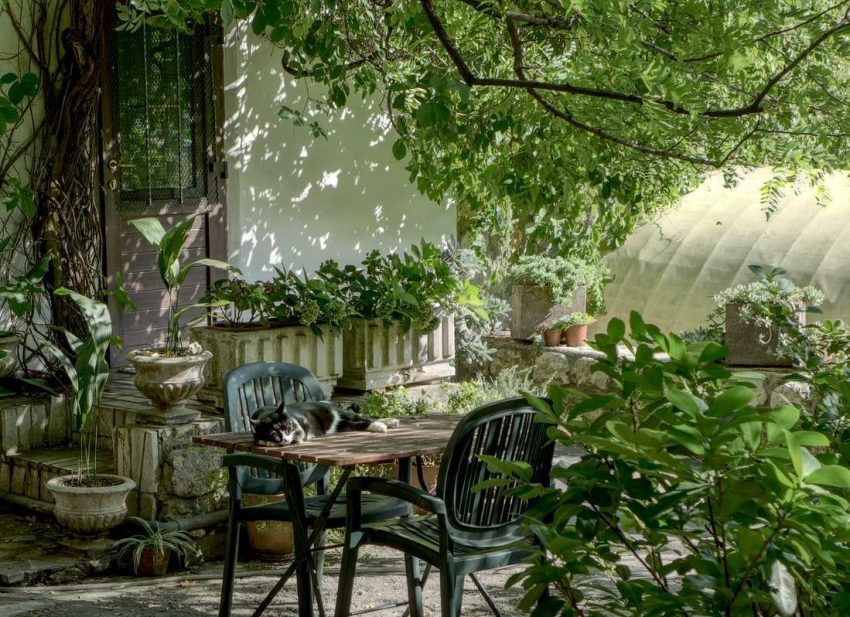 The Use of Plants in the Landscape as a Design Argument 8 peyzaj-bitkileri
