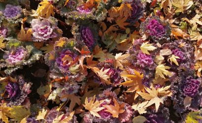 IMG_20201217_111031-01