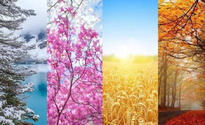 Mevsimlere Göre Bitkiler 1: En Güzel İlkbahar ve Yaz Bitkileri