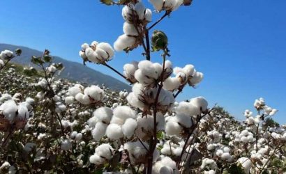 WhatsApp Image 2022-11-05 at 17.58.34