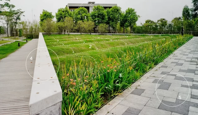 Ekolojik Restorasyon ve Peyzaj Onarımı: Bozulan Alanların İyileştirilmesi