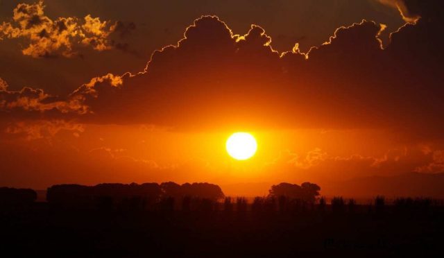 Küresel ısınma, bir buçuk derece raporu, iklim değişikliği (Mehmet Emin DAŞ Fotoğraf Arşivi - 2016)