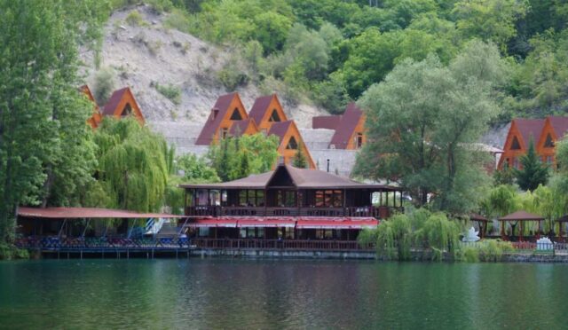 Türkiye’de Hızlı Büyüyen En İyi 10 Ağaç Türü ve Özellikleri