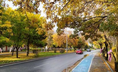 Atatürk Üniversitesi Kampüsü