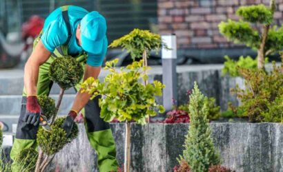 garden-maintenance-3-1