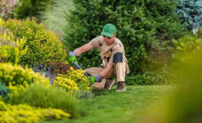 10 Easy Tips for a Low-Maintenance Garden 2 garden-maintenance-6-1