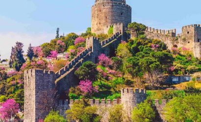 istanbul-peyzaj-bitkileri (1)