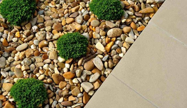 landscaping-ideas (1)