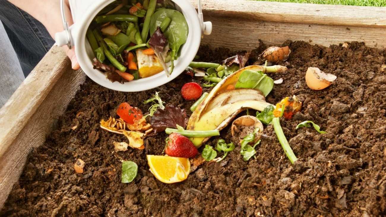 Evde Kompost Yapımı ve Bahçeniz İçin Faydaları