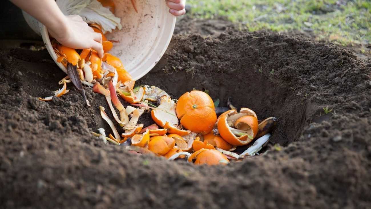 Evde Kompost Yapımı ve Bahçeniz İçin Faydaları