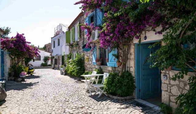 İzmirdeki Bahçelerde Kullanılabilecek Peyzaj Bitkileri