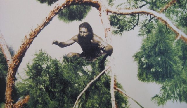 Manisa Tarzanı Ahmet Bedevi: Çevreciliğin Sembolü