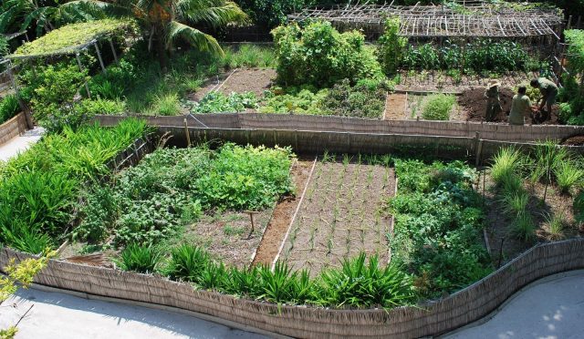 04c9bdbbac54eaa0e62d385460f4d89d