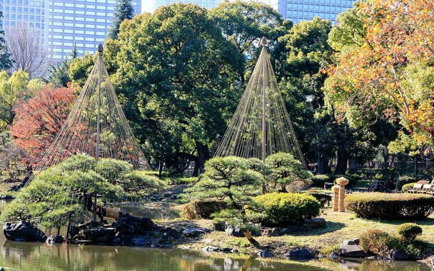 Yukitsuri: Japon Bahçeciliğinde Geleneksel Bir Zarafet 37 tumblr_oxlckxiKB71sw6ybho2_1280