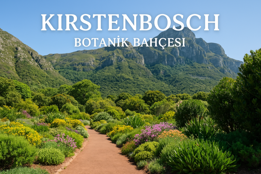 Botanik Tutkunları İçin Bir Rüya: Kirstenbosch 38 ChatGPT Image 14 Nis 2025 14_35_53