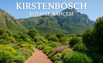 Botanik Tutkunlari Icin Bir