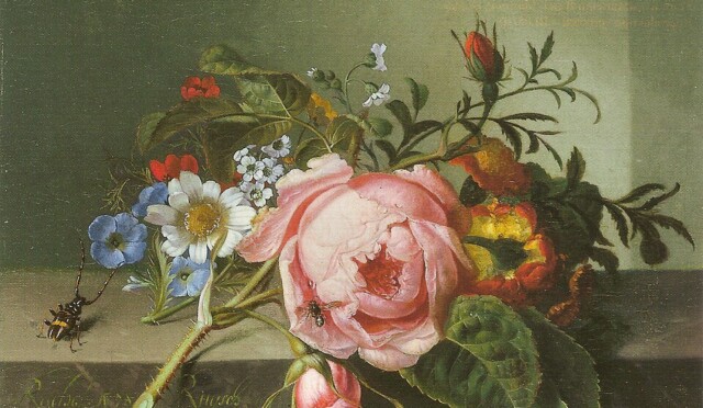 960px-Ruysch,_Rachel_—_Rosenzweig_mit_Käfer_und_Biene_—_1741 (2)