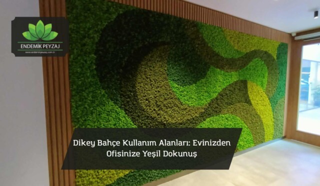 WhatsApp Image 2025-06-25 at 18.53.18