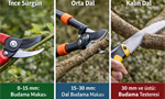 Pruning Shears Buying Guide