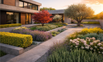 Top Ornamental Plants For G