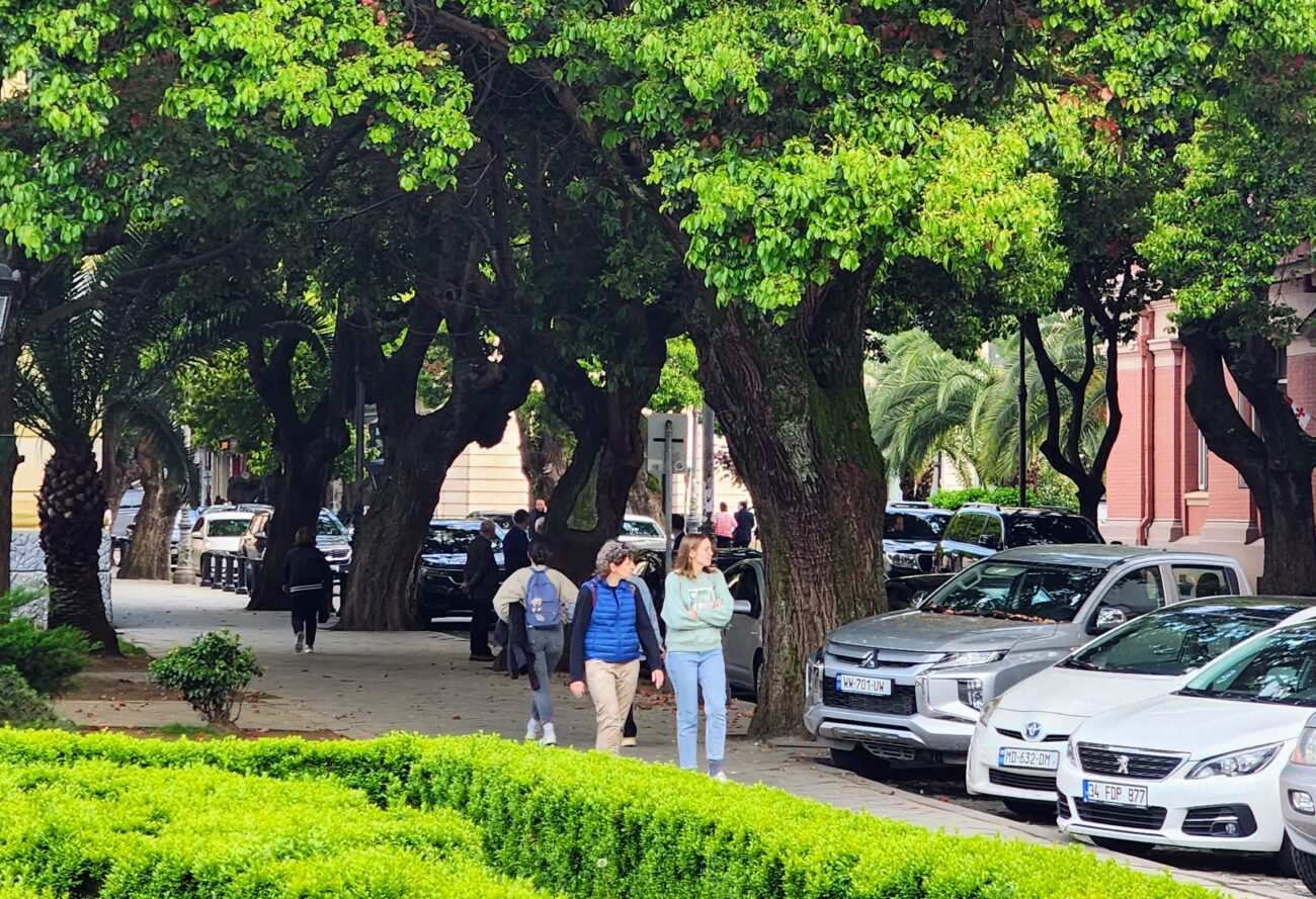 Isınan Kentlerde gölge veren ağaçların kullanımı önemlidir