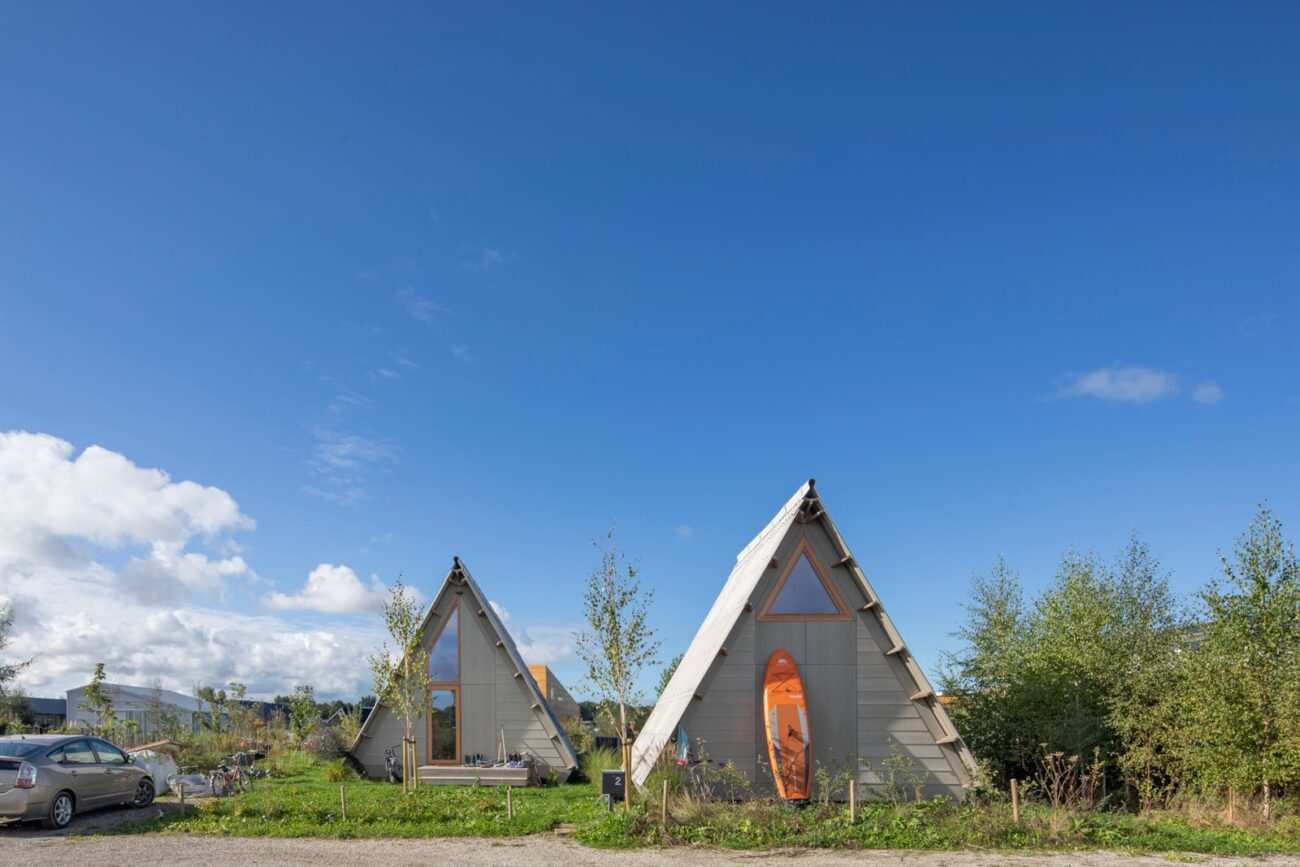 Kentler Neden Üretmiyor? Kentsel Tarım Bir Çözüm mü?