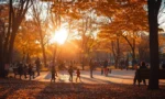autumn-park-sunset-stockcake