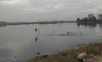 IMG_20241114_141546